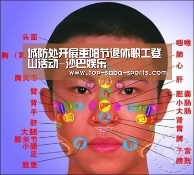 城防处开展重阳节退休职工登山活动-沙巴娱乐(图3) 沙巴体育app