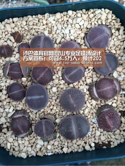 沙巴体育官网|昆山专业足球场设计方案宣布!可容4.5万人,预计2022年建成(图1) 沙巴体育官网
