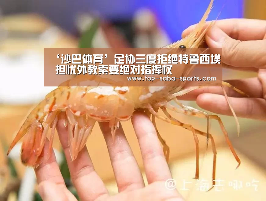 ‘沙巴体育’足协三度拒绝特鲁西埃 担忧外教索要绝对指挥权(图1) 沙巴体育